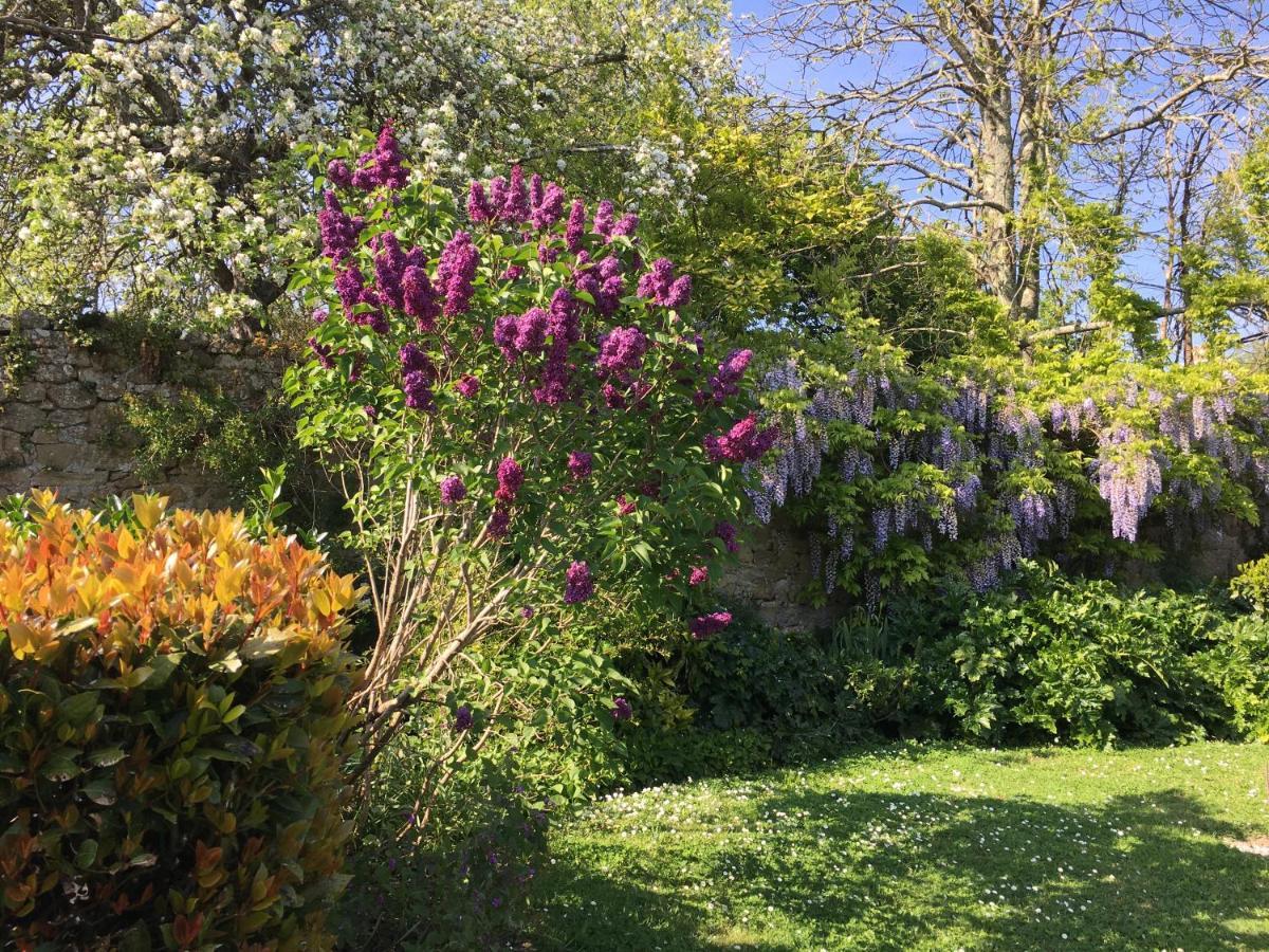 La Ferme De Kerivoas Bed and Breakfast Audierne Εξωτερικό φωτογραφία